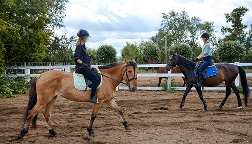 Sport equestre per bambini Sport equestre per bambini